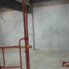 cimg2688